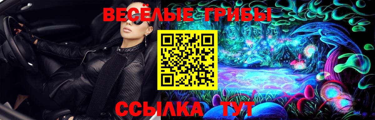 Лыткарино  Псилоцибиновые грибы Magic Shrooms  Вход с VPN 